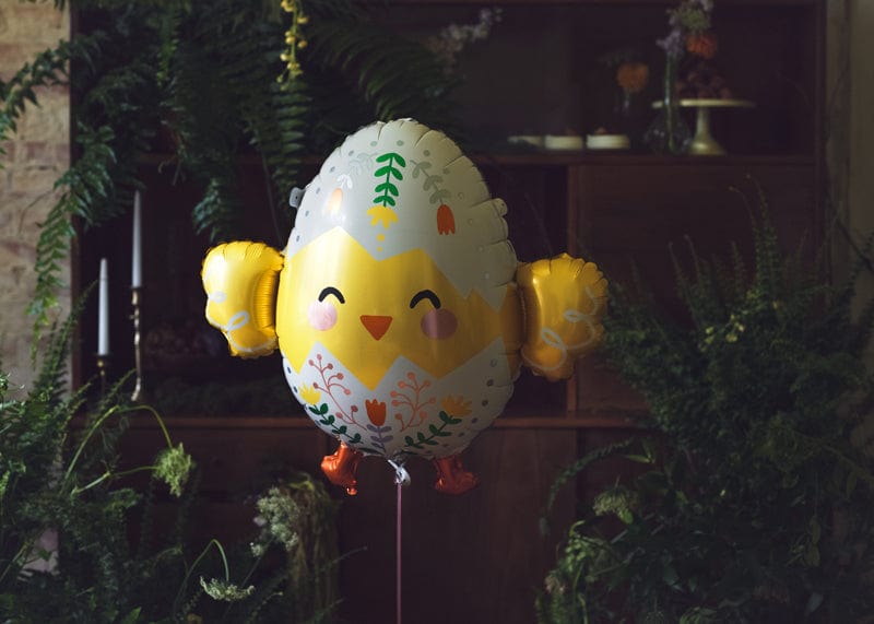 Ballon poussin à couver