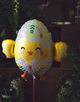 Ballon poussin à couver