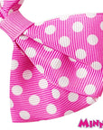 Minnie Mouse Hair Bow Set