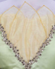 Close-up of Tiana costume dress bodice with iridescent organza petals and gold sequin trim; Disney Princess Signature Collection girls' costume dress
