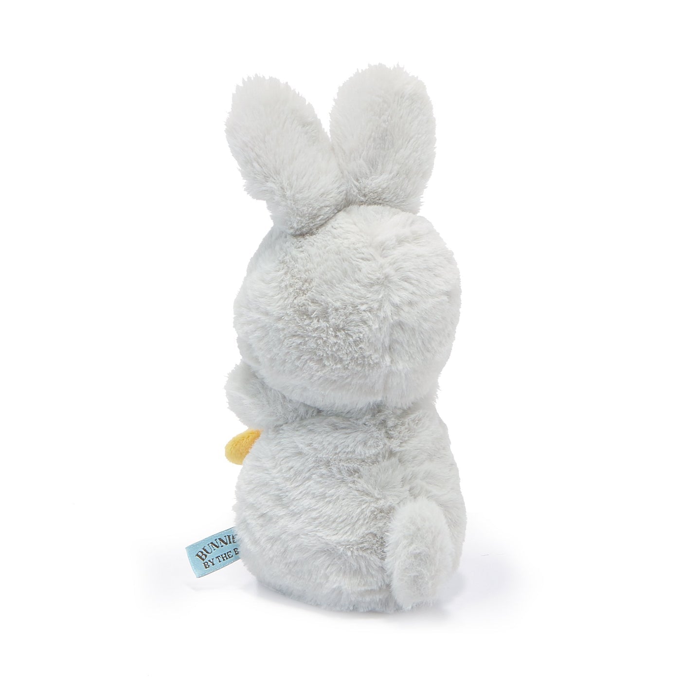 Lapin étoile soleil floraison