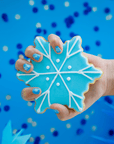 Pegatinas de uñas de copo de nieve esmerilado