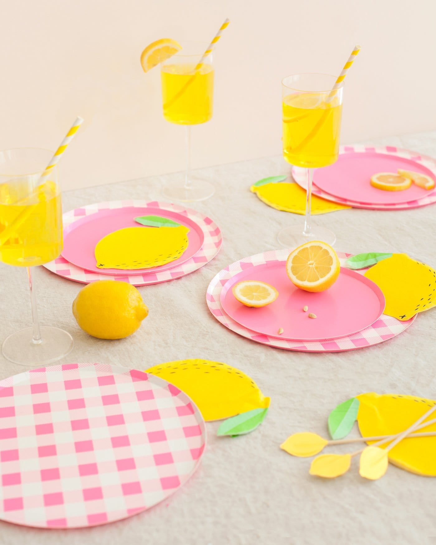 Assiettes Cercle Vichy Rose - Grandes