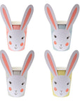 Coupes de lapin mélange printanier