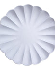 Blue Eco Plates