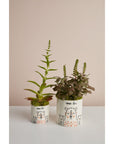 Mama Bear Planter Pots