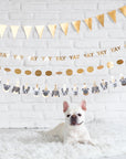 Banner de perro de animales de fiesta