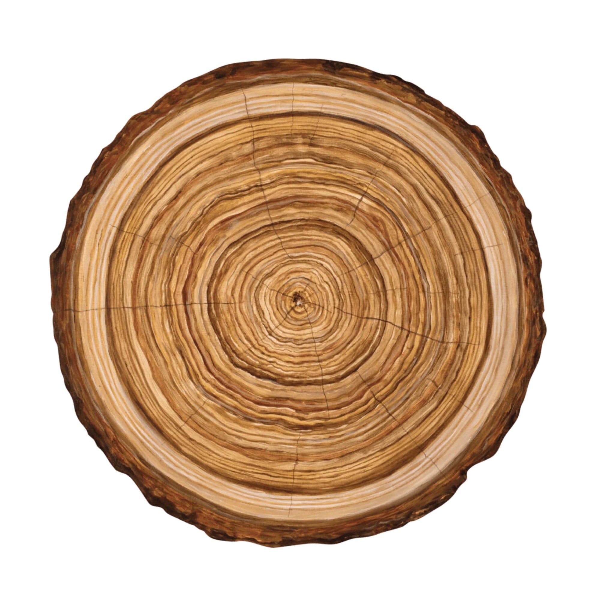 Sets de table en forme d'anneau d'arbre