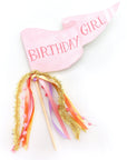 Birthday Girl Party Pennant Flag