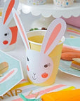 Coupes de lapin mélange printanier