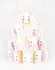 Coupes de lapin mélange printanier