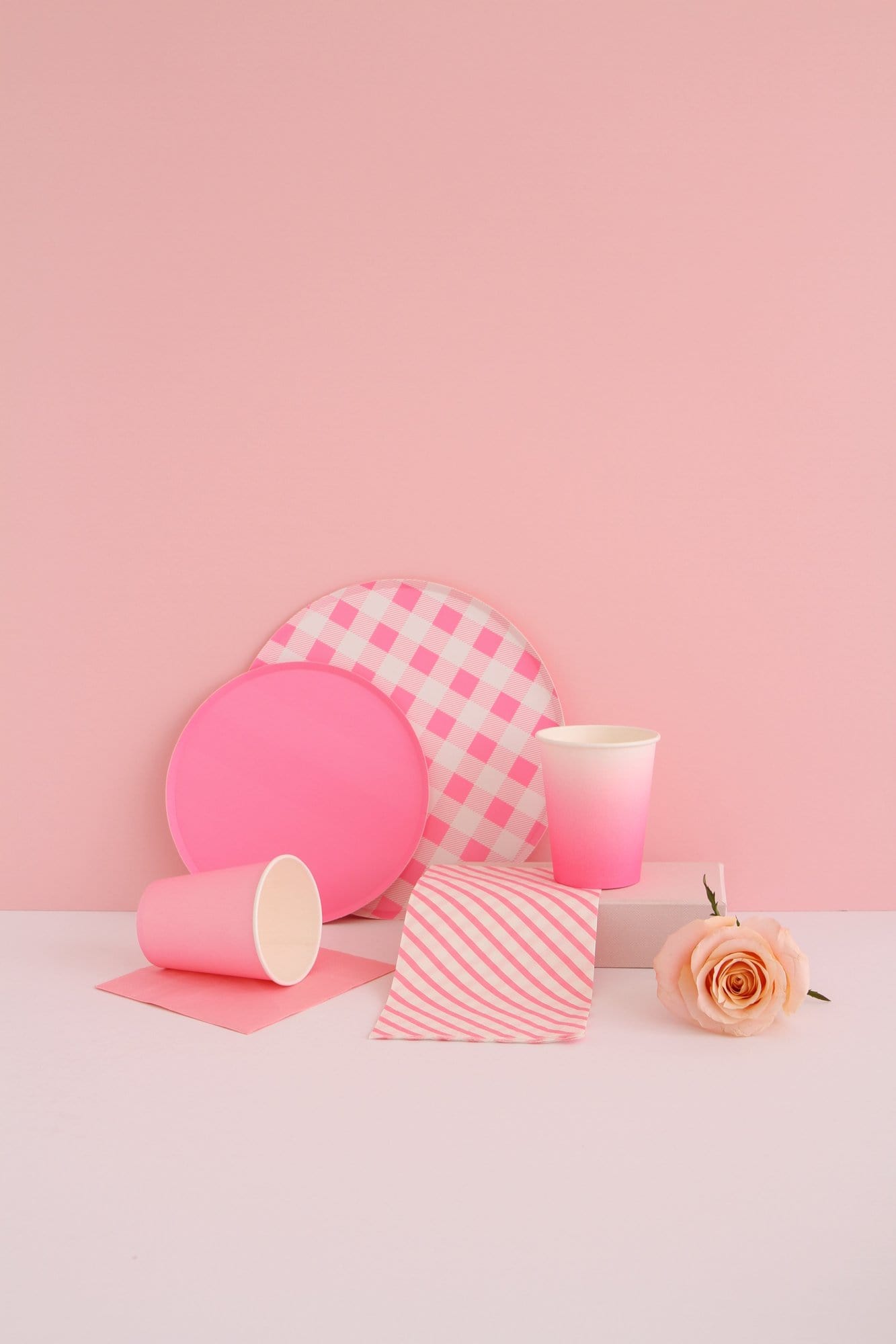 Assiettes Cercle Vichy Rose - Grandes