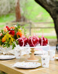 Farm Birthday Party