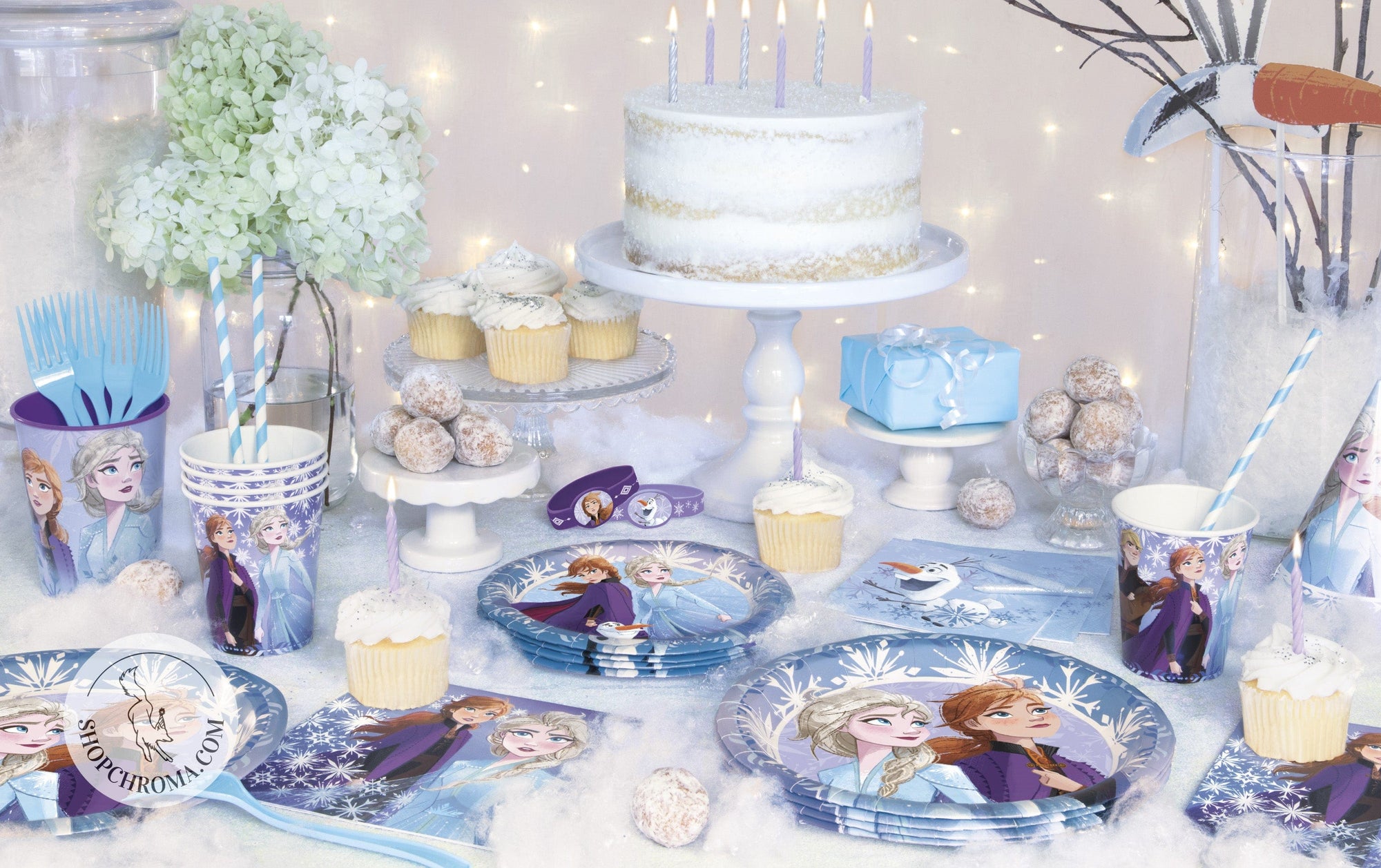 Frozen 2 Elsa Anna birthday party supplies with character plates, cups, napkins, white birthday cake, cupcakes and winter wonderland decorations for Disney princess Frozen party