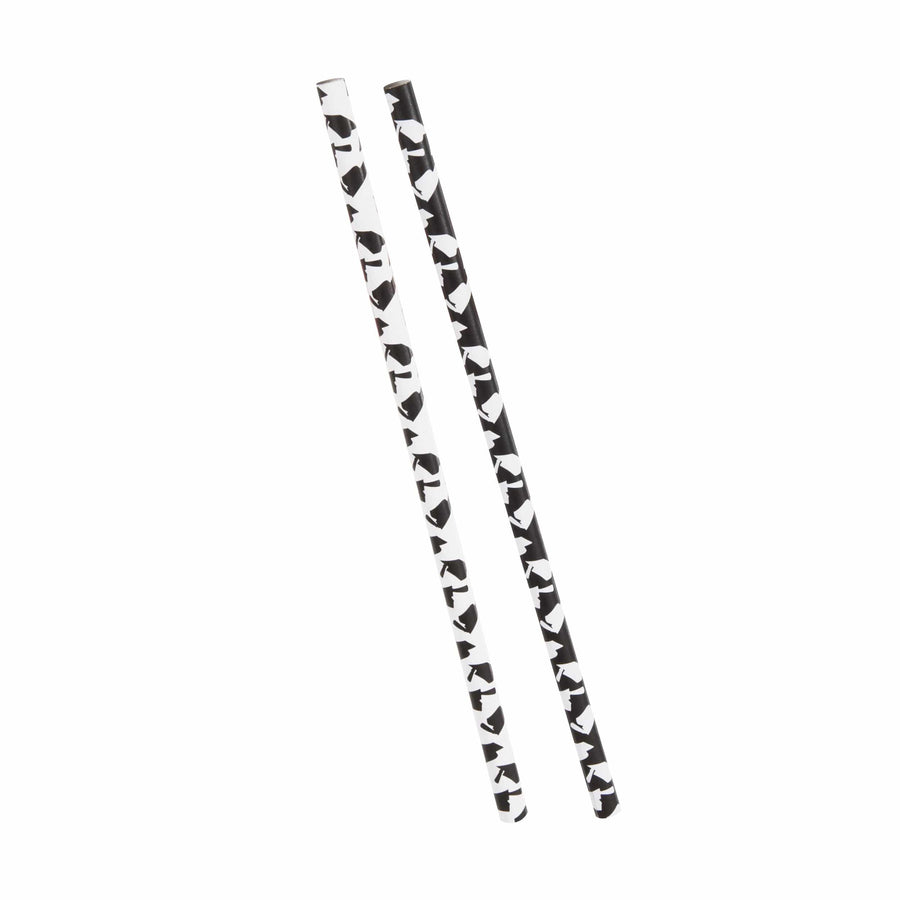 Graduation Cap Paper Straws