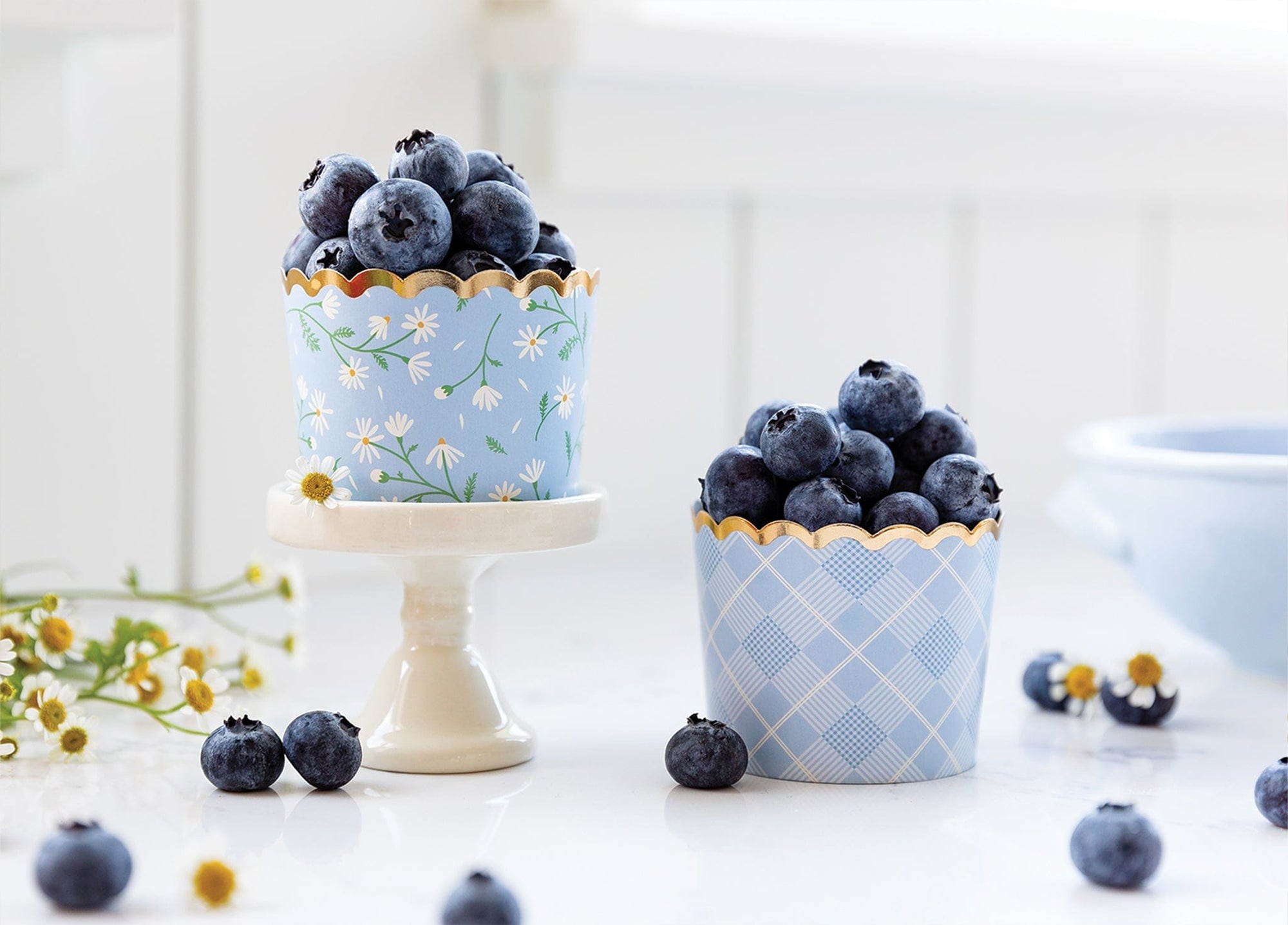 Periwinkle Plaid and Daisy Baking Treat Cups