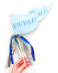 Birthday Boy Party Pennant Flag